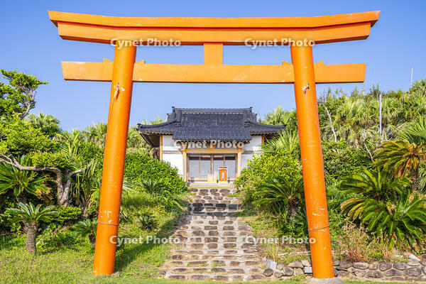 門倉岬の御崎神社 [YMA110016389]