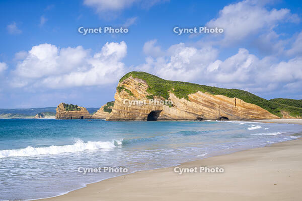 象の水飲み岩 [YMA110016400]