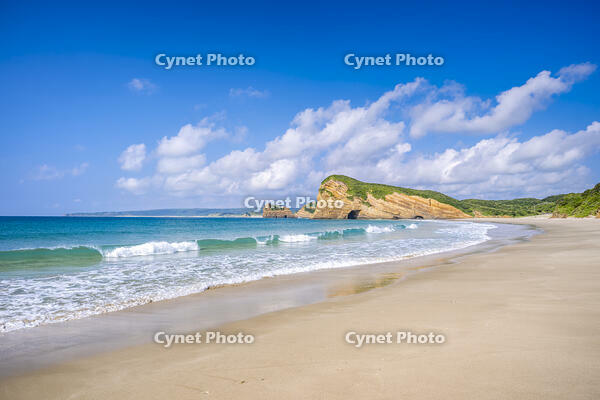 象の水飲み岩 [YMA110016403]