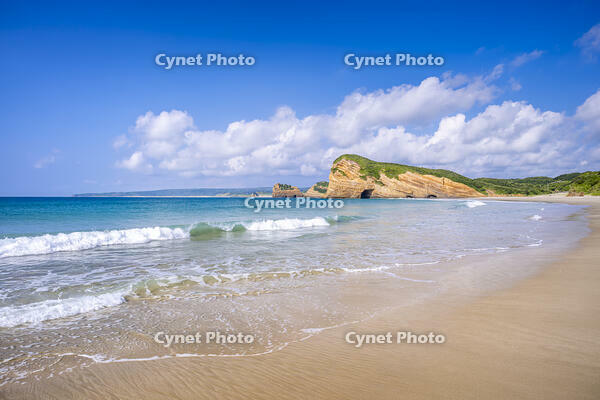 象の水飲み岩 [YMA110016405]