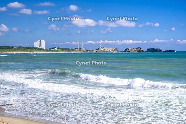 大崎射場 [YMA110016411]