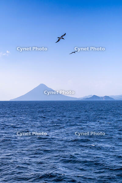 開聞岳とカツオドリ [YMA110016441]