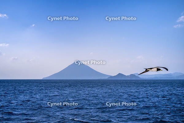 開聞岳とカツオドリ [YMA110016444]