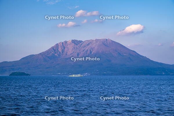 夕暮れの桜島 [YMA110016445]