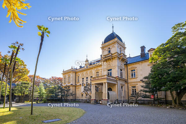 秋の旧岩崎邸庭園 [YMA110016448]