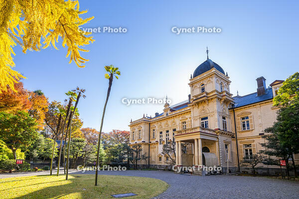 秋の旧岩崎邸庭園 [YMA110016449]
