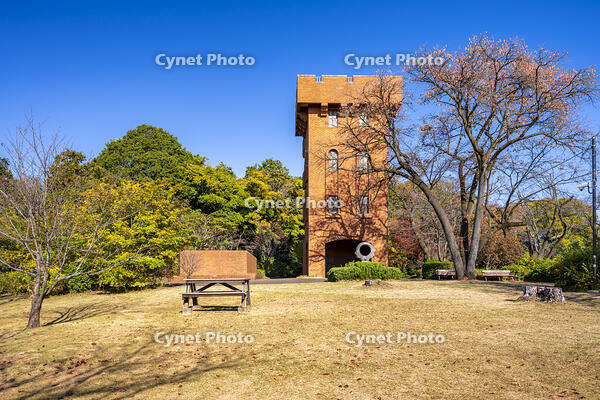 秋の六道山公園 [YMA110016480]