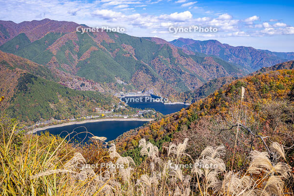 秋の奥多摩湖 [YMA110016481]