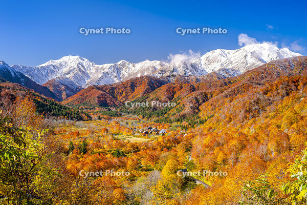 秋の銀山平と越後駒ヶ岳 [YMA110016523]