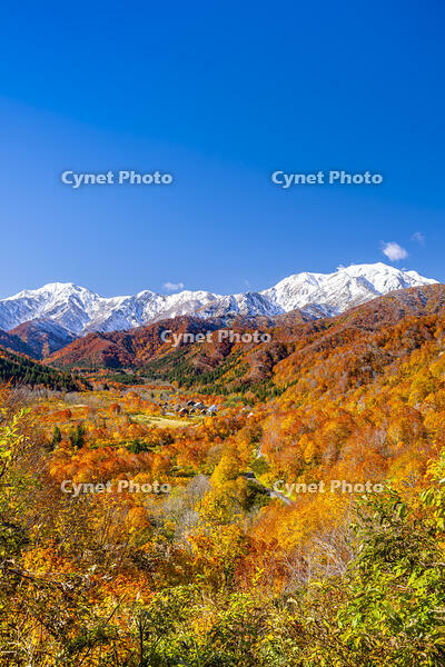 秋の銀山平と越後駒ヶ岳 [YMA110016526]