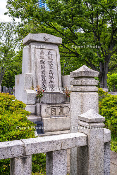 夏目漱石の墓所 [YMA110016561]