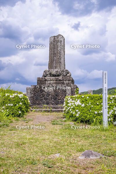 小栗上野介忠順終焉の地 [YMA110016567]