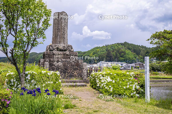 小栗上野介忠順終焉の地 [YMA110016568]