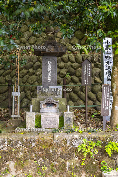 小栗上野介忠順の墓所 [YMA110016575]