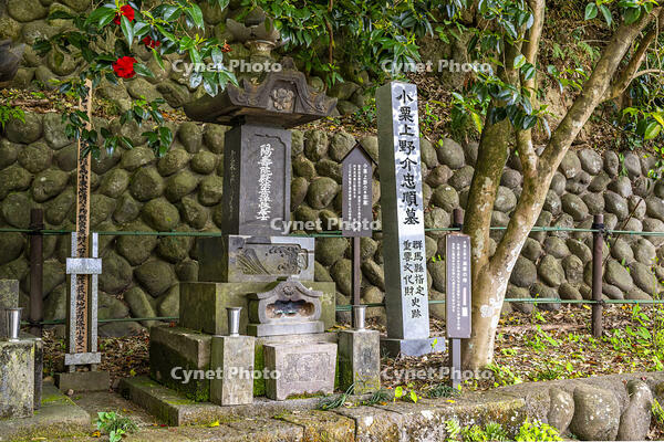 小栗上野介忠順の墓所 [YMA110016577]