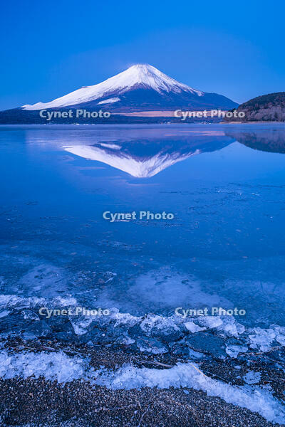 結氷する山中湖 [YMA110016585]
