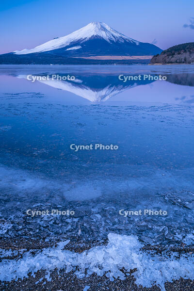結氷する山中湖 [YMA110016586]