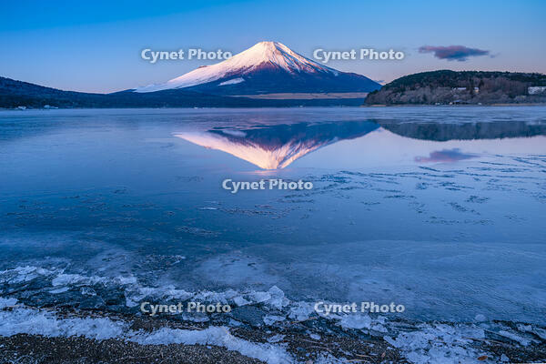 結氷する山中湖 [YMA110016587]