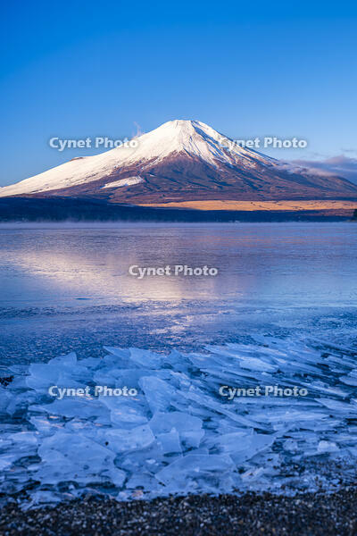 結氷する山中湖 [YMA110016590]