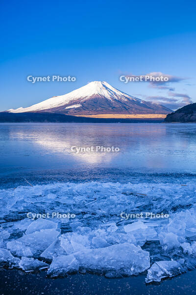 結氷する山中湖 [YMA110016592]