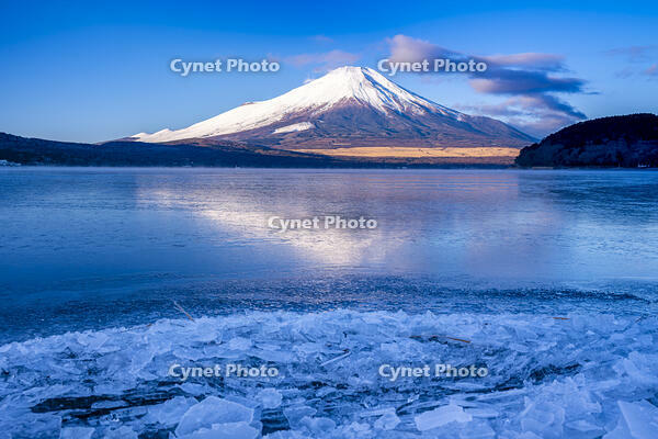 結氷する山中湖 [YMA110016593]