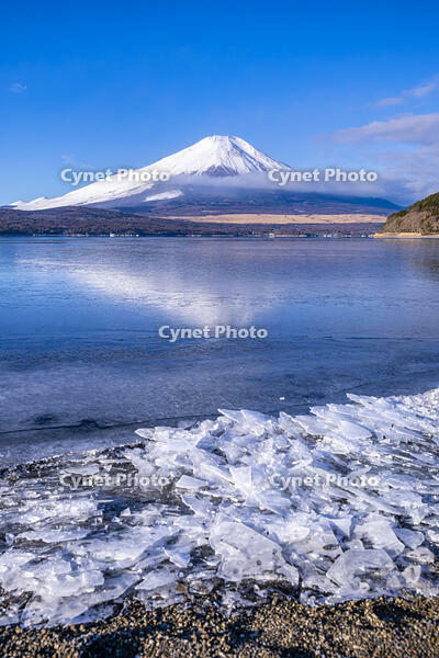 結氷する山中湖 [YMA110016595]