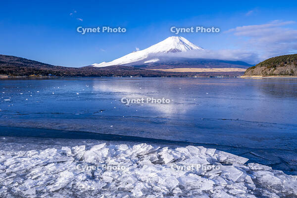結氷する山中湖 [YMA110016596]