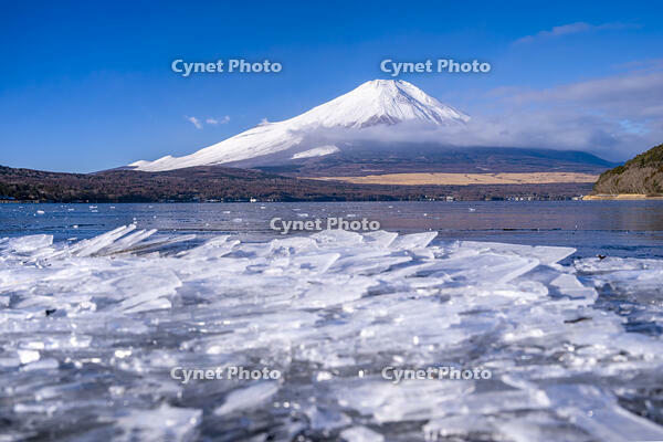結氷する山中湖 [YMA110016597]