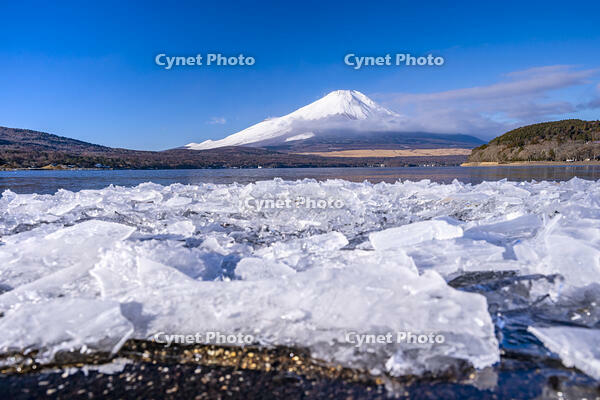 結氷する山中湖 [YMA110016598]