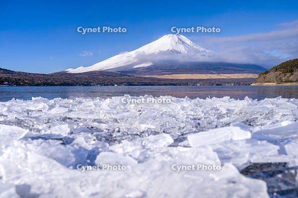 結氷する山中湖 [YMA110016599]