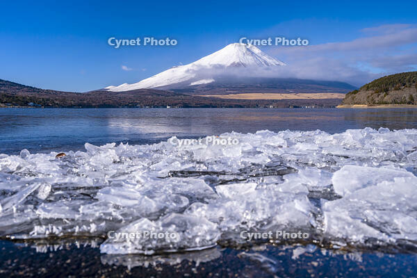 結氷する山中湖 [YMA110016600]