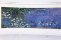 AKG10836618 [AKG110392404]