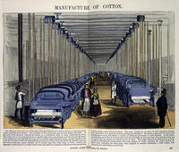 Technology / Textile industry:  Manufacture of Cotton. [AKG110392603]