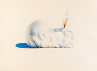 Thiebaud, Wayne1920 Mesa, ArizonaSeven Still Lifes and a Rabbit. Portfolio with 8 print graphics. [AKG110392671]