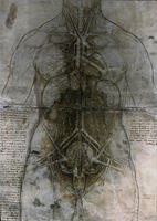 Leonardo da Vinci, female thoracic and abdominal organs [AKG110392723]