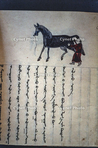 Treatment of a horse / Mongolian miniature 18th century [AKG110392352]
