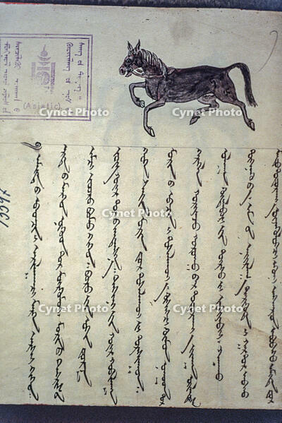 Mongolian horse / Mongolian miniature 18th century [AKG110392353]