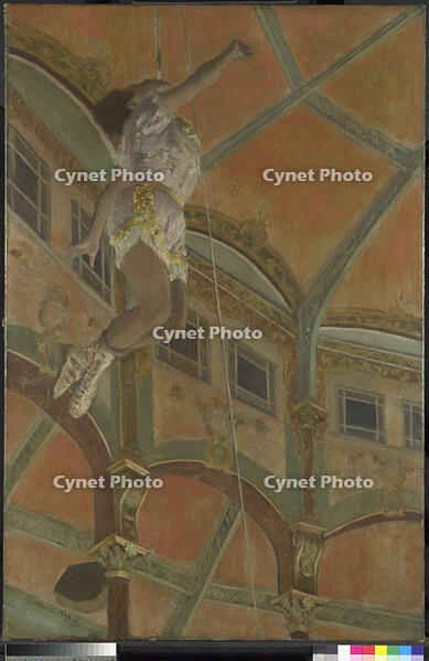 AKG1558683 [AKG110392444]