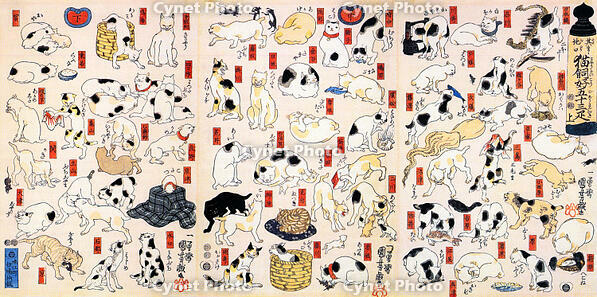 AKG3829677 [AKG110392482]