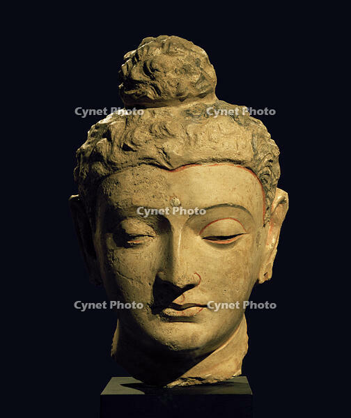 Kopf eines Buddha / Gandhara-Kunst [AKG110392646]