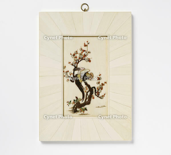 ROOSTER WITH LONG TAIL FEATHERS (ONAGADORI) IN FLOWERING PRUNUS.  [AKG110392715]