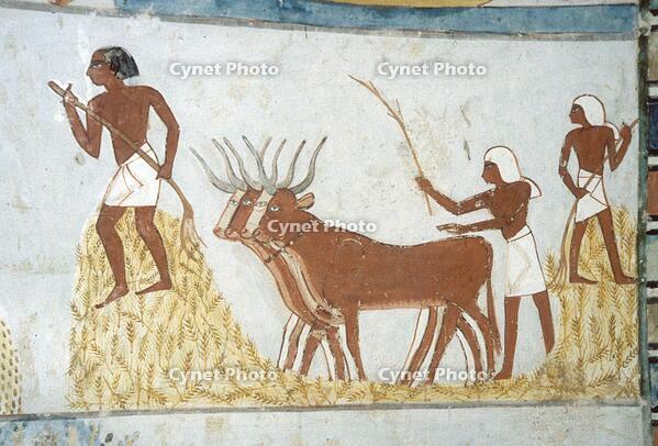 1843–Treshing wheat, Egypt [AKG110392724]