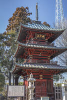 成就院　三重塔 [INO110001833]