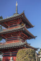 成就院　三重塔 [INO110001834]