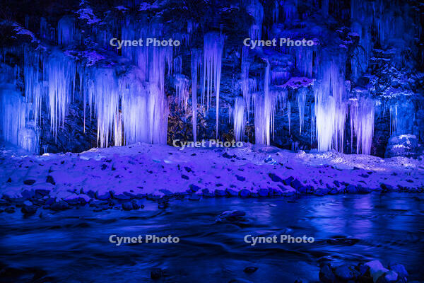 三十槌の氷柱　ライトアップ [INO110001796]