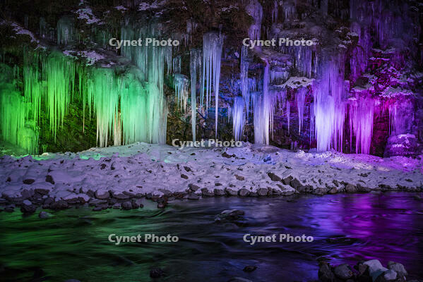 三十槌の氷柱　ライトアップ [INO110001797]