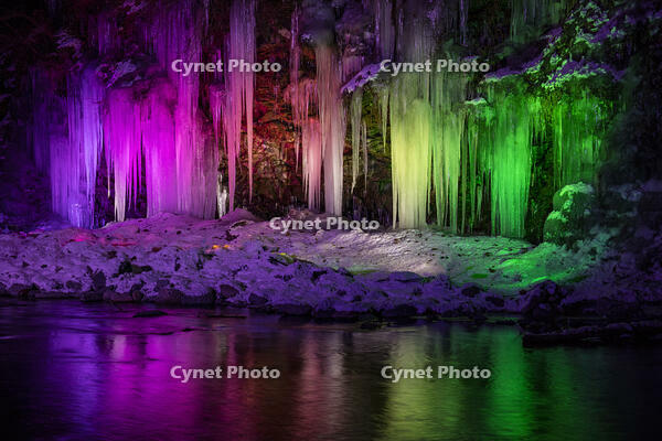 三十槌の氷柱　ライトアップ [INO110001799]