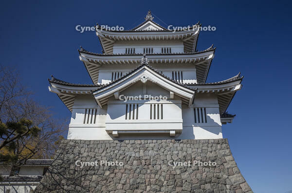 忍城 [INO110001832]