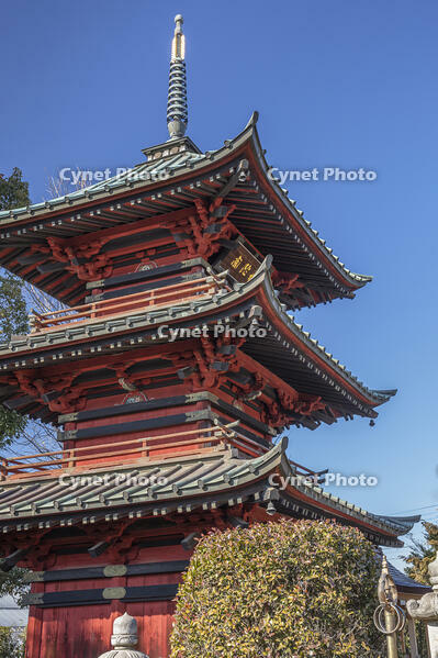 成就院　三重塔 [INO110001834]