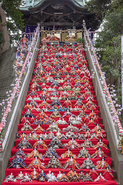 岩槻　愛宕神社大雛段飾り [INO110001860]